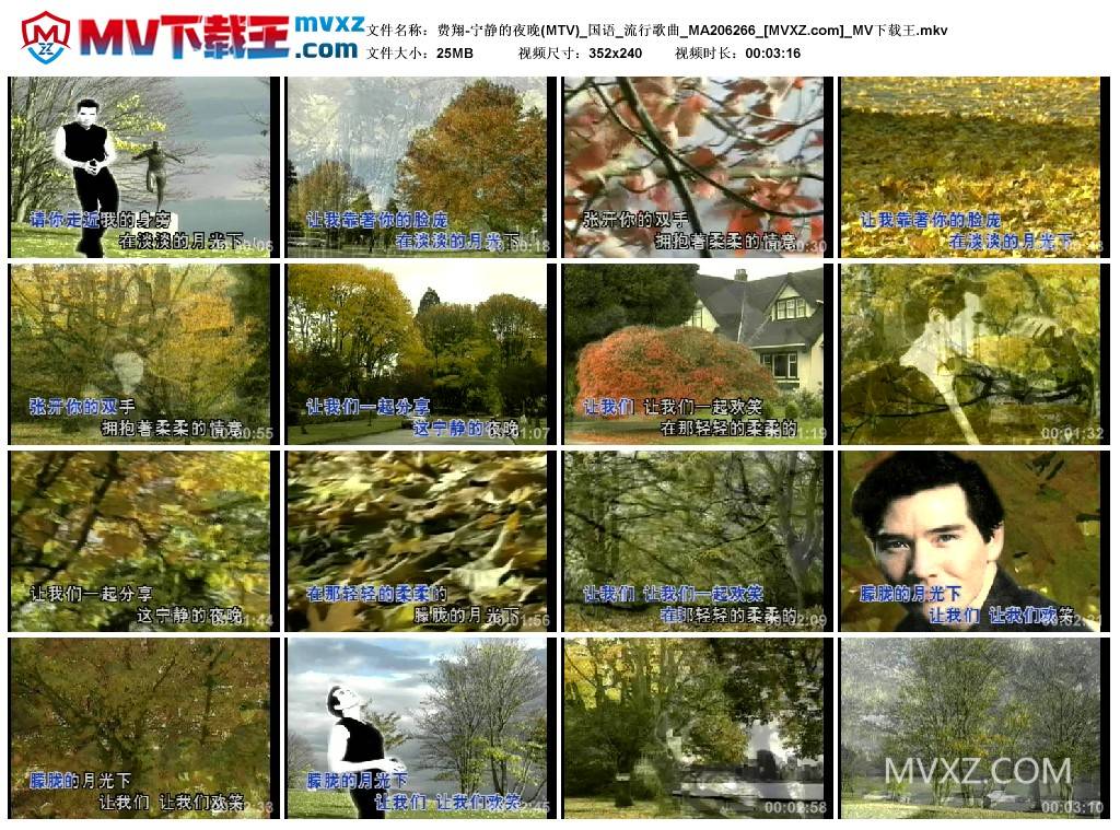 费翔-宁静的夜晚(MTV)_国语_流行歌曲_MA206266